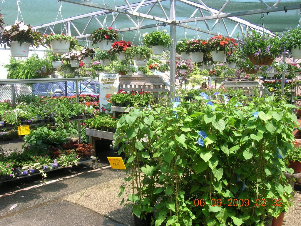 Pictures for Stables Garden Center of East Moriches Inc in East